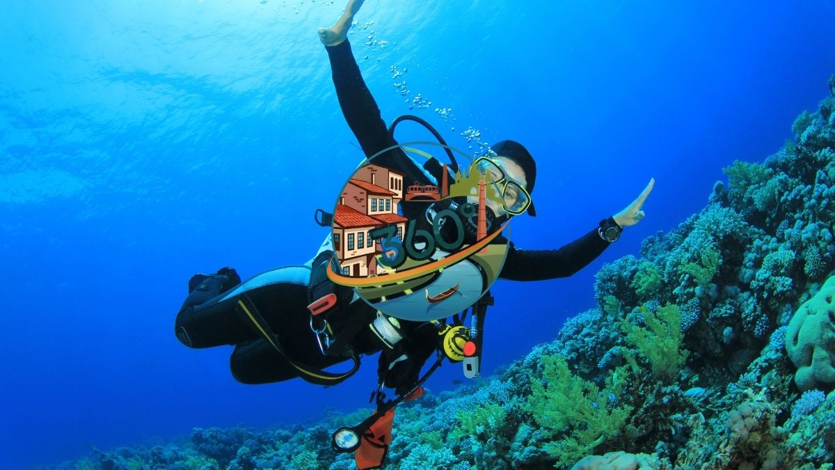 Eskişehir Üniversitelerinin Gizemli Odaları: Kampüslerin Bilim ve Sanat Dolu Saklı Koleksiyonlarını Keşfedin